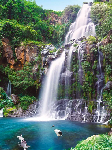 Papier peint cascade de la Réunion - Muralconcept