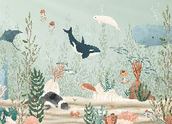 Papier peint bébé monde marin