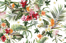 Papier peint tropical & Fleurs colorées - Muralconcept