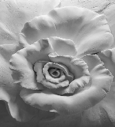 Papier peint Flower Sculpture 3D