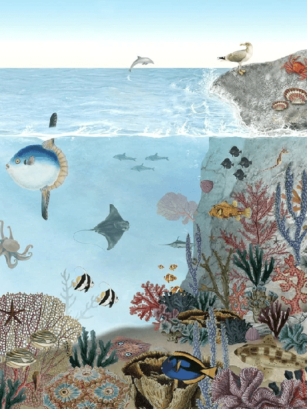 Papier peint animaux marins - Muralconcept