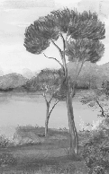 Papier peint panoramique méditerranéen Sépia - Muralconcept