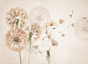 Papier peint fleur pissenlit - Muralconcept