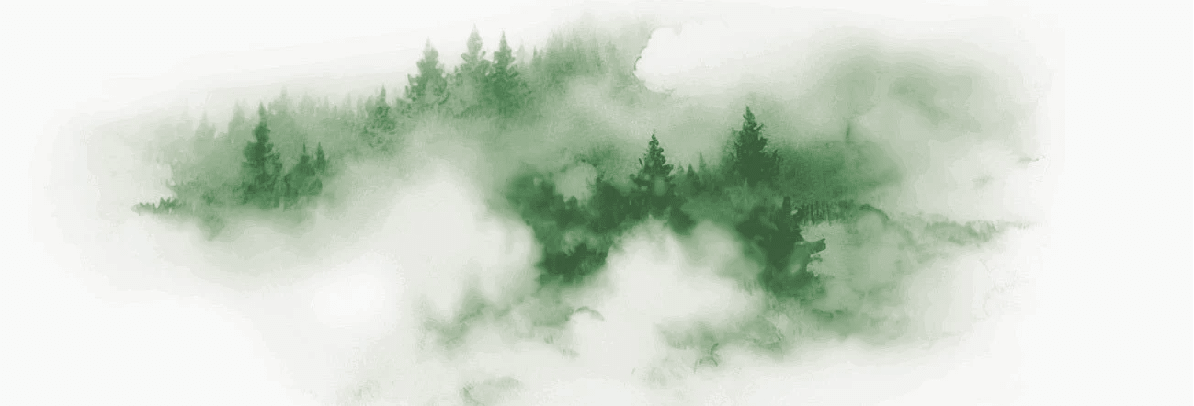Papier peint brume des Cimes vert - Muralconcept