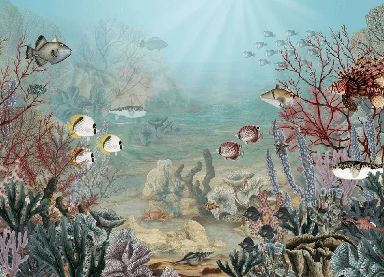 Papier peint vie sous la mer, XXL, tendance