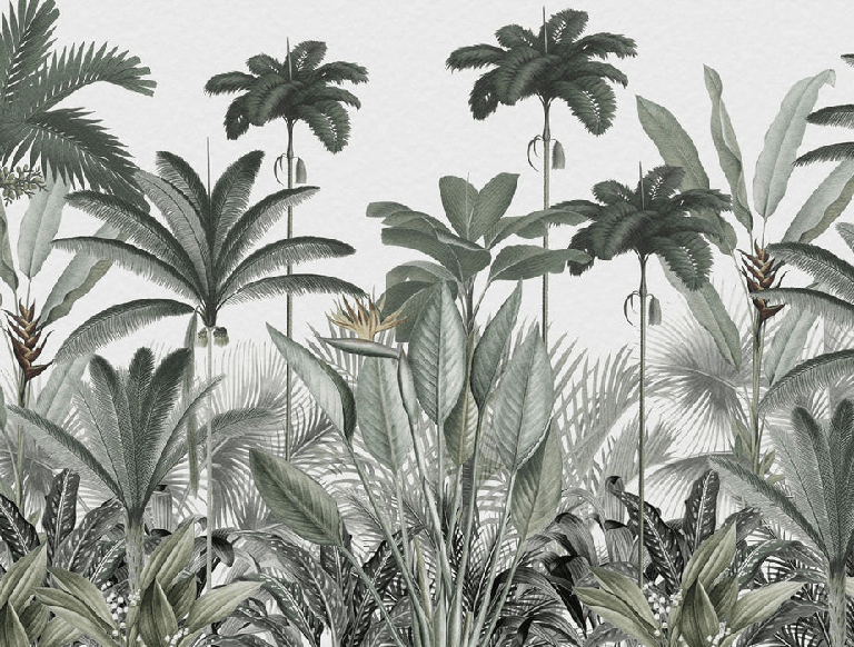 Papier peint panoramique jungle tree - Muralconcept