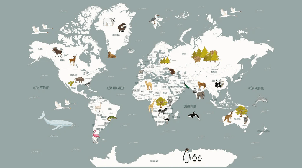 Papier peint Carte du monde en Francais enfant gris - Muralconcept