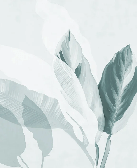 Modern water-green foliage wallpaper, XXL, tendance