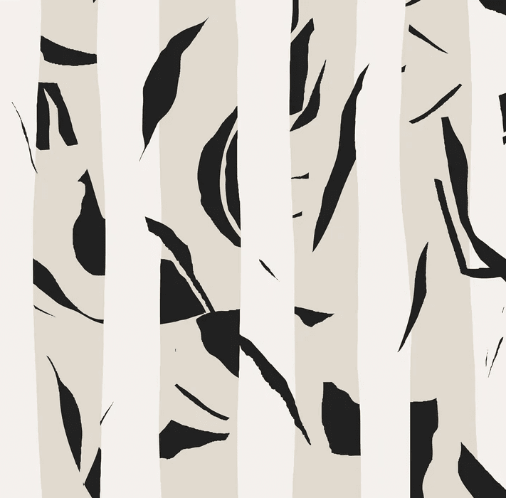 Papier peint rayure bichrome - Muralconcept