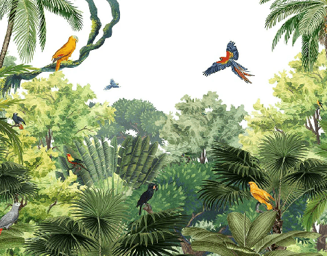 Papier peint enfant perroquets exotiques - Muralconcept