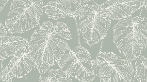 Papier peint feuille monstera sauge - Muralconcept
