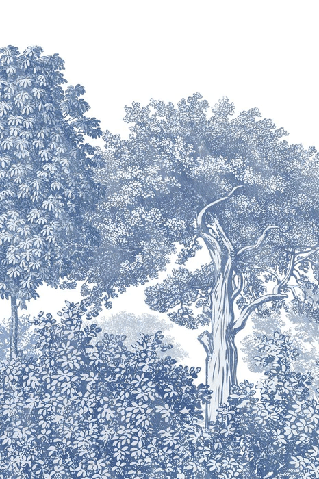 Landscape wallpaper forest blue engraving - Muralconcept