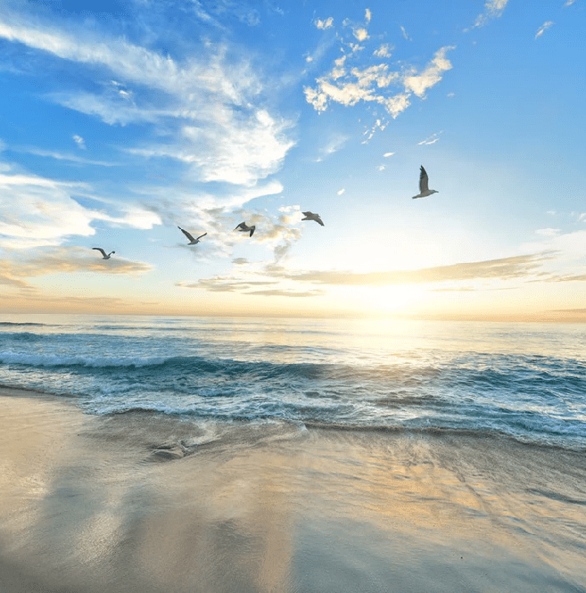 Papier peint Plage Paradisiaque - Muralconcept