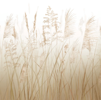 Papier peint fleur des champs de blé - Muralconcept