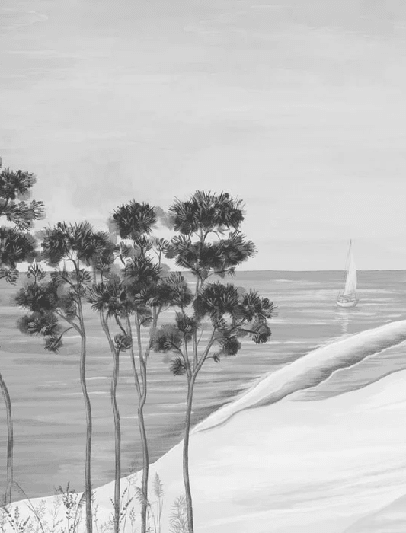 Papier peint panoramique – Dune du Pilat - Muralconcept