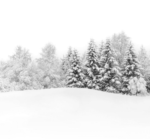 Papier peint panoramique évasion hivernale - Muralconcept