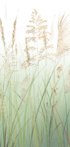 Papier peint fleur des champs de blé vert - Muralconcept