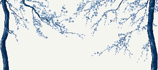 Papier peint panoramique fleur Sakura blanc, XXL, tendance