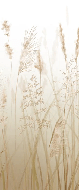 Papier peint toilette fleur des champs de blé beige