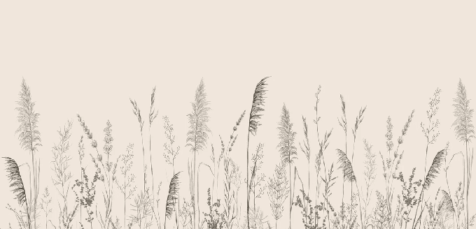 Papier peint panoramique prairie sauvage - Muralconcept