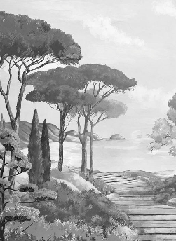 Papier peint balade dans les calanques noir et blanc