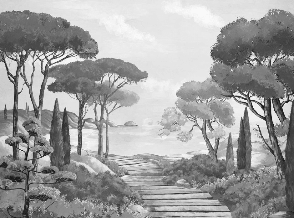 Papier peint balade dans les calanques noir et blanc - Muralconcept