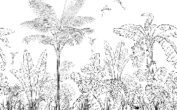 Papier peint jungle noir et blanc léopard, XXL, tendance
