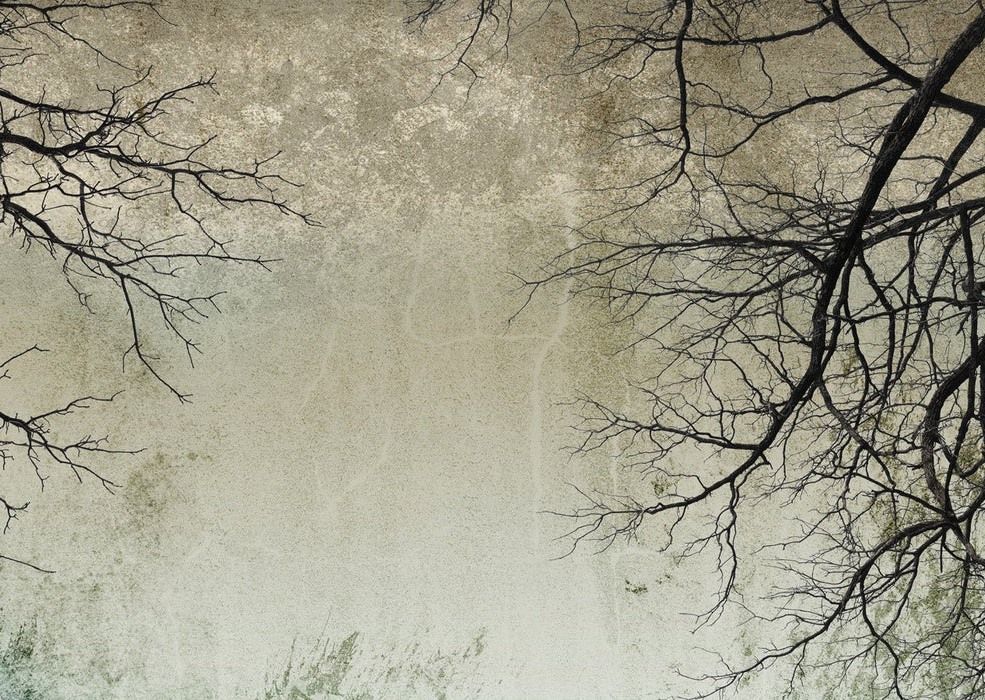 Enchanted Forest Tapete