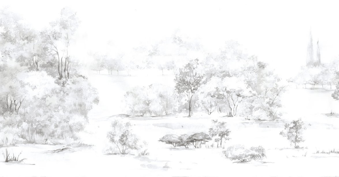 Papier peint forêt de pin aquarelle - Muralconcept