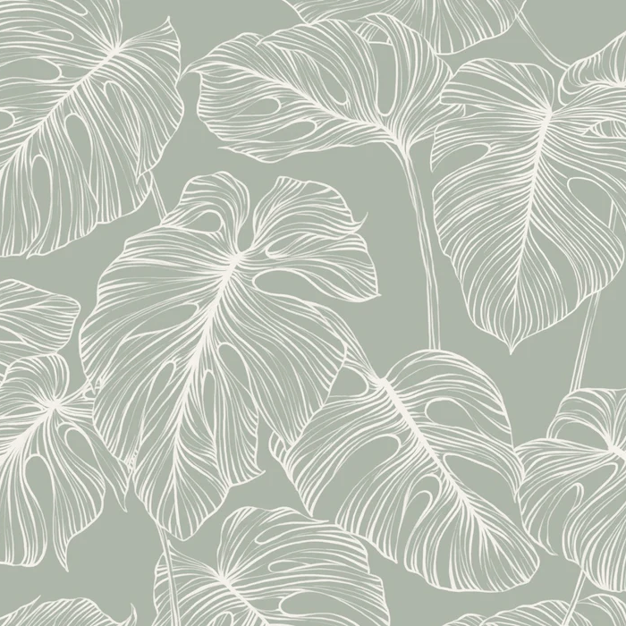 Papier peint feuille monstera sauge, XXL, tendance