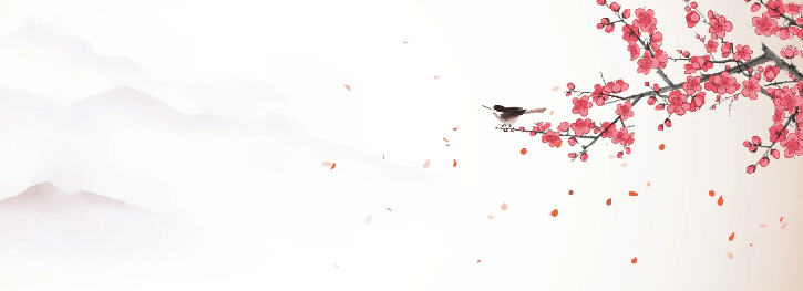 Papier peint harmonie zen sakura - Muralconcept