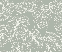 Papier peint feuille monstera sauge - Muralconcept