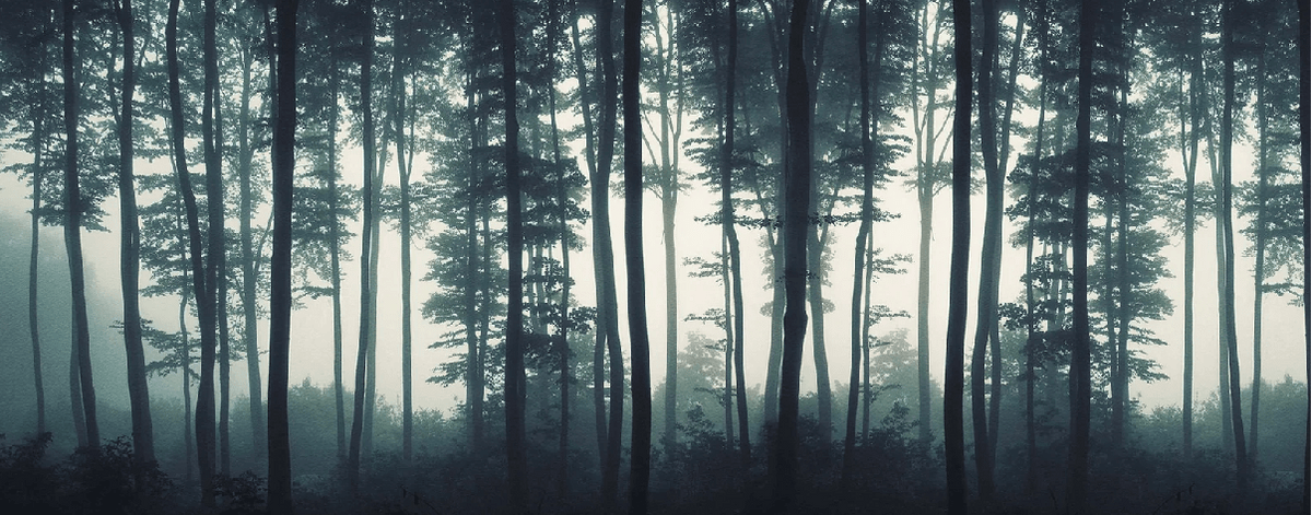 Papier peint Brume d'automne