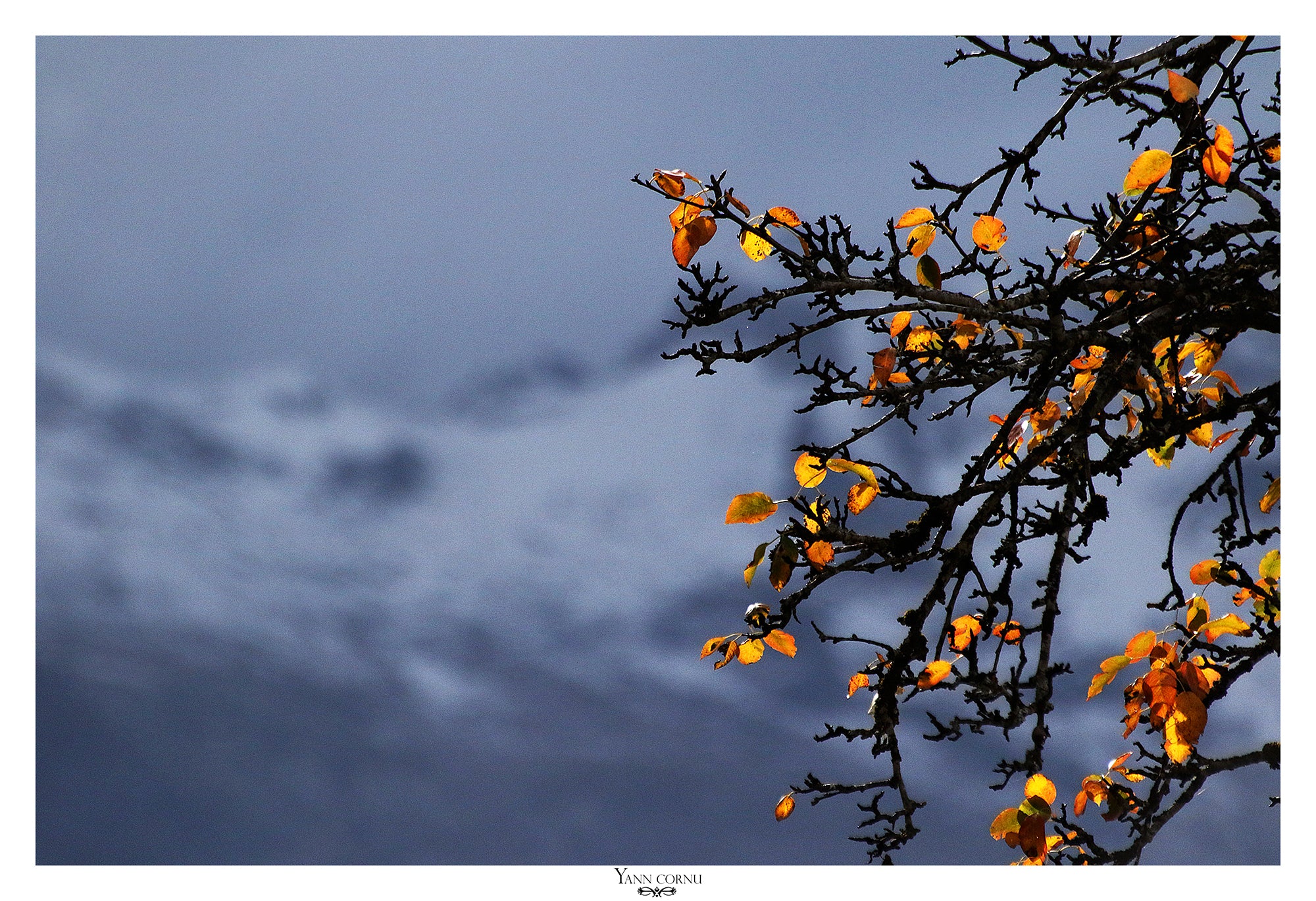 Papier peint photo spring touch