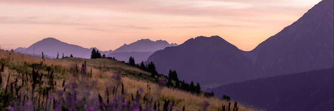 Papier peint restaurant massif du Giffre, mural concept, tendance