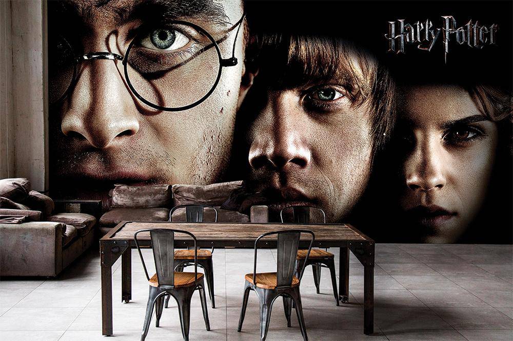Papier peint panoramique Harry Potter héros - papier peint sur mesure francais - muralconcept
