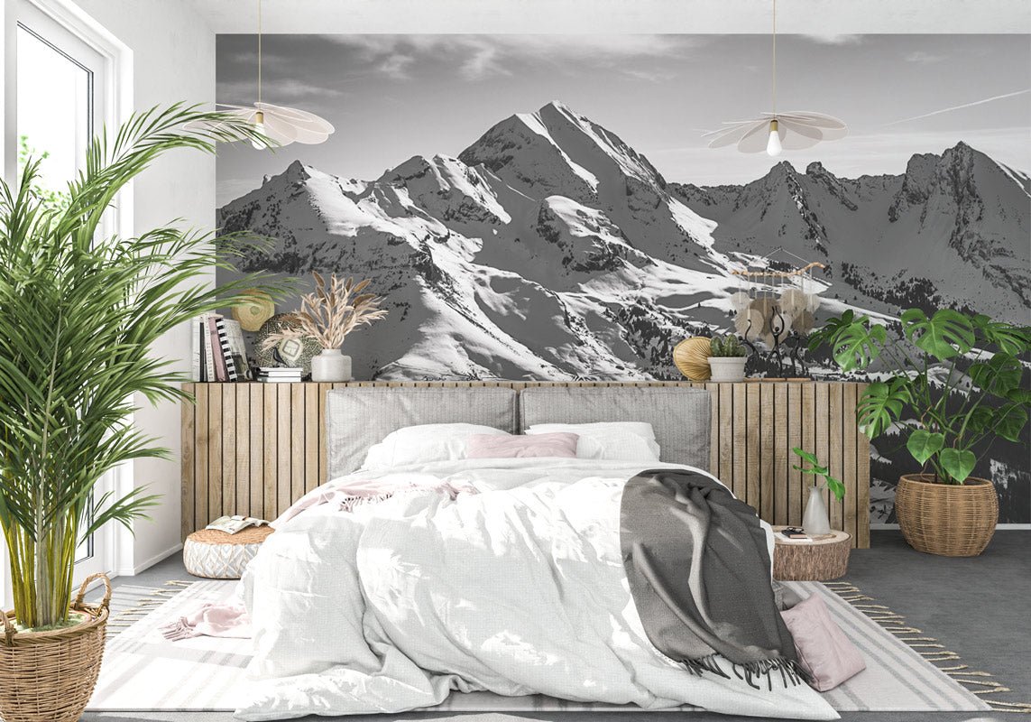 Papier peint montagne noir et blanc les Aravis