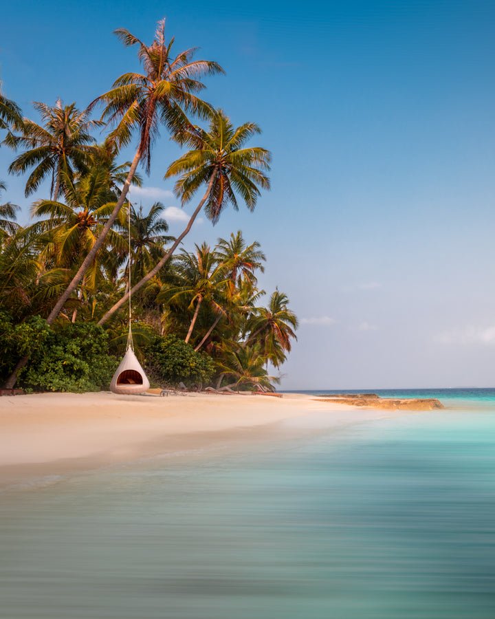 Papier peint panoramique cocotier plage - papier peint sur mesure francais - muralconcept