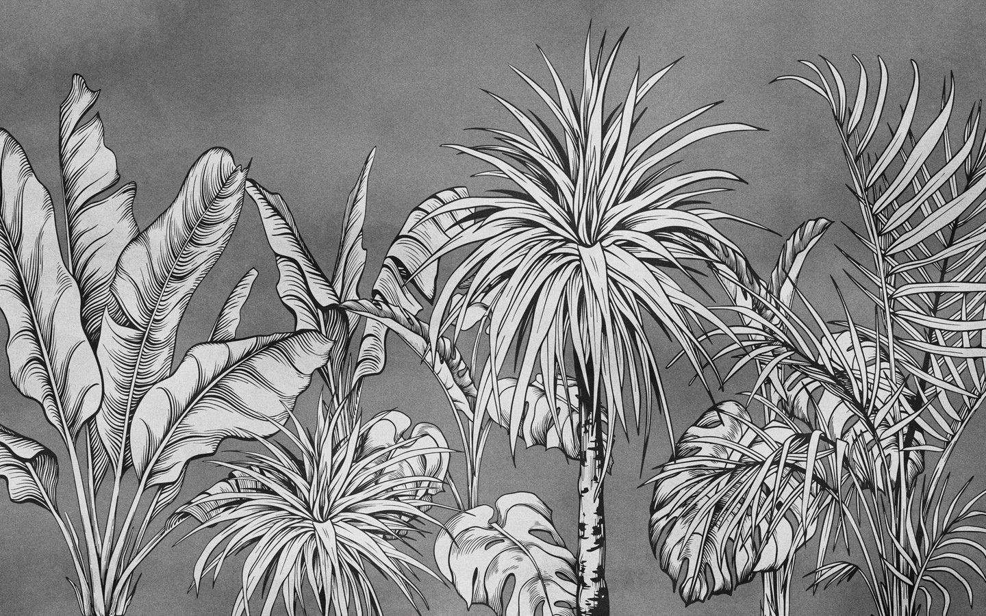 Papier peint tendance jungle noir et blanc - Muralconceptpapier_peint_sur_mesure